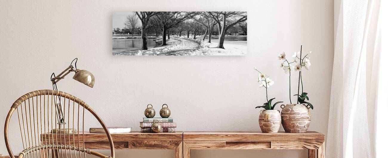 Black and white of Tree lined walking path shovel by Woodys Photos