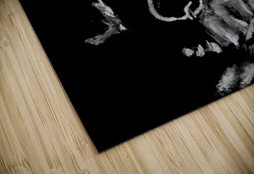 Death Castor puzzle