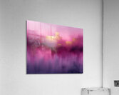 abstramssteopie Acrylic Print