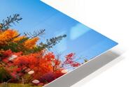 lake suprerior HD Metal print