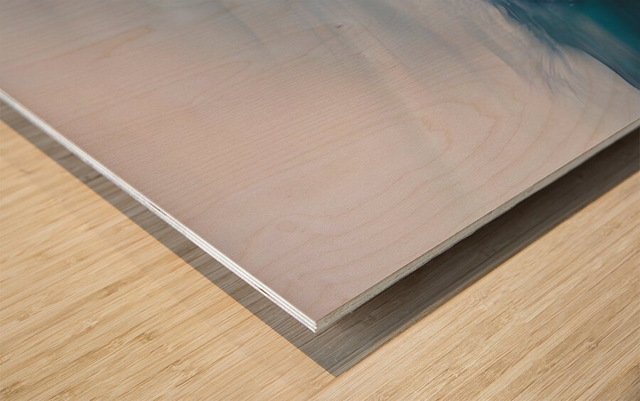 Lost in the surf Wood print