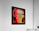 Phenomenal Candy 01-02 2D Acrylic Print