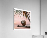 If I were a coconut 02 Acrylic Print