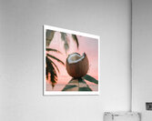 If I were a coconut 01 Acrylic Print