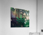 Sweet lemon Haze in Acrylic Acrylic Print