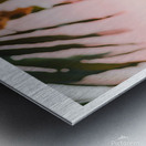 If I were a coconut 02 Metal print