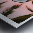 If I were a coconut 01 Metal print