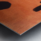 Orange Outback skies Kids Wallart  Metal print