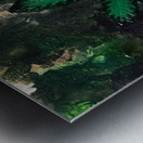 Sweet lemon Haze in Acrylic Metal print