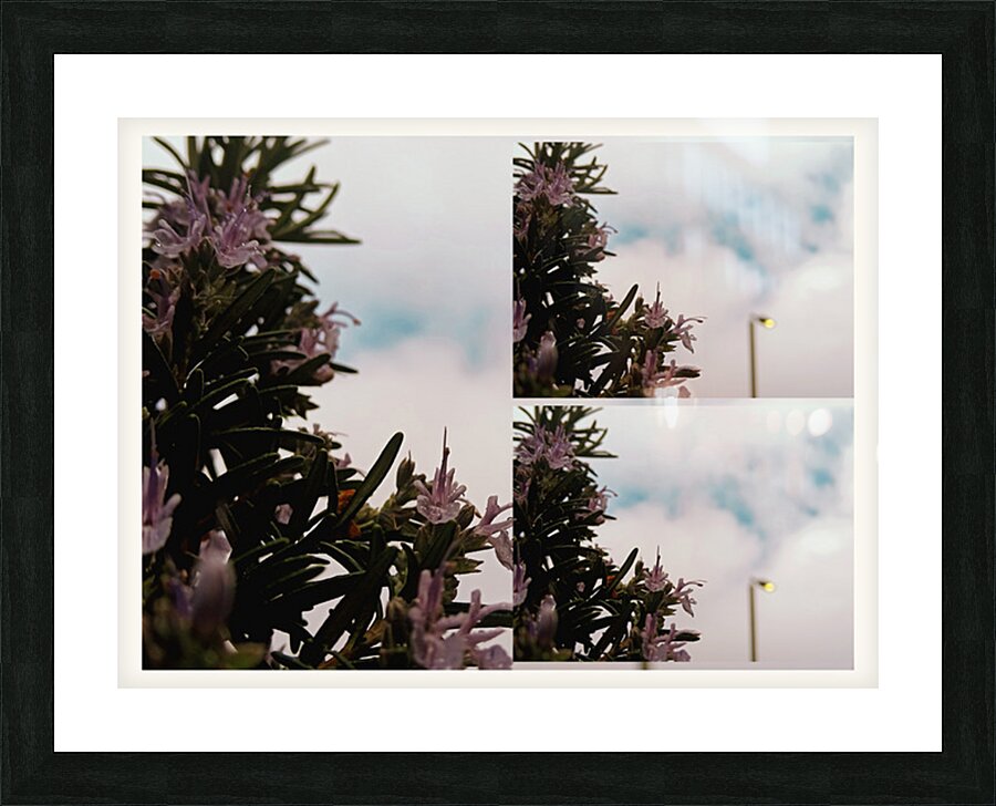 LB 02 Picture Frame print