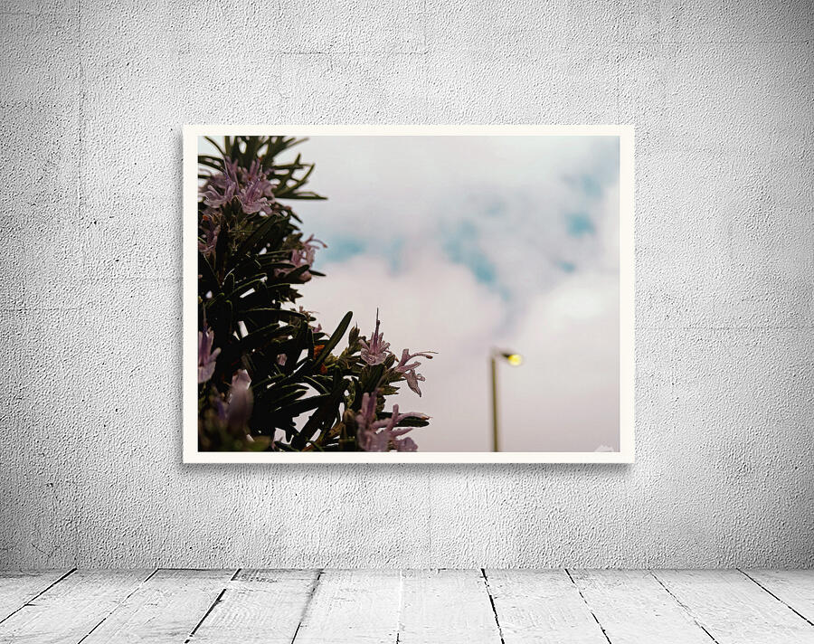 Lavender bloom Wall Preview