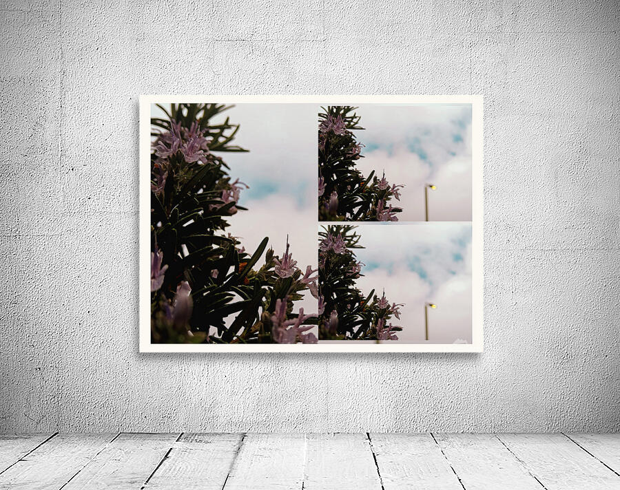 LB 02 Wall Preview