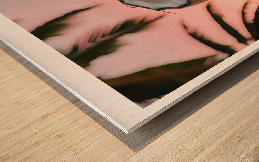 If I were a coconut 01 Wood print