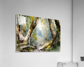 Aquarelle 02 Acrylic Print