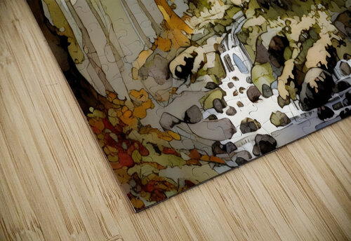 Aquarelle 06 FFFrancois puzzle