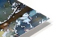 Aquarelle 12 HD Metal print