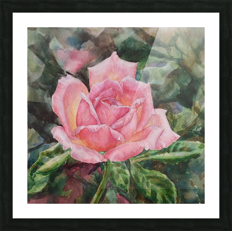 Pink Rose Picture Frame print