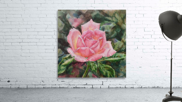 Pink Rose Wall Preview