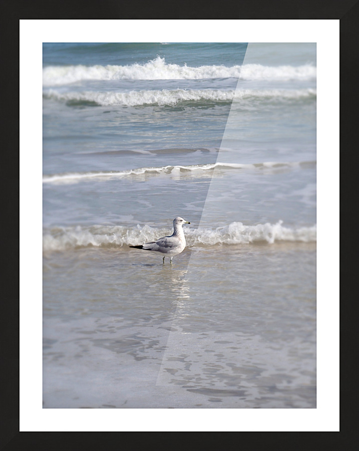 00143 Wading the Tide Picture Frame print