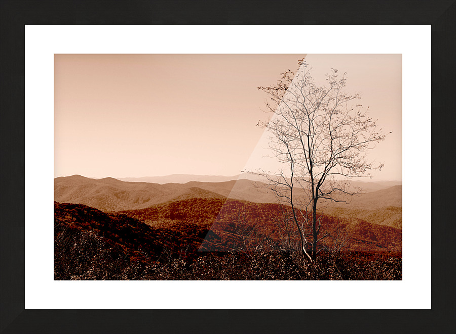 00136 Stand Tall Picture Frame print