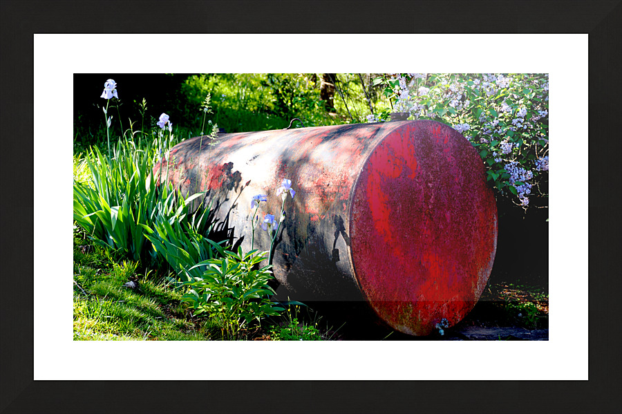 00118 Backyard Beauties Picture Frame print