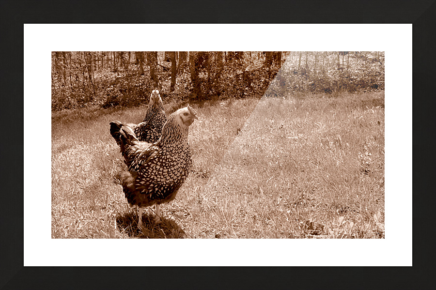 00116 Pretty Mommas Picture Frame print