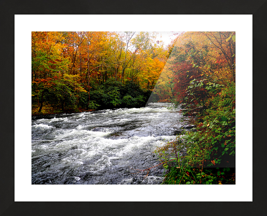 00140 Worth Waiting For Picture Frame print