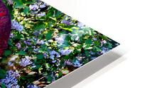 00118 Backyard Beauties HD Metal print