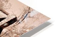 00132 Homeplace HD Metal print