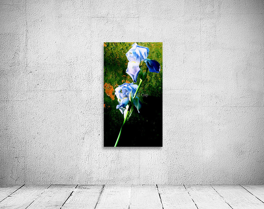 00122 Backyard Beauties Wall Preview