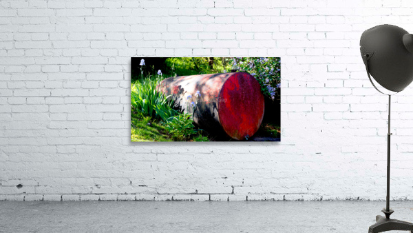 00118 Backyard Beauties Wall Preview
