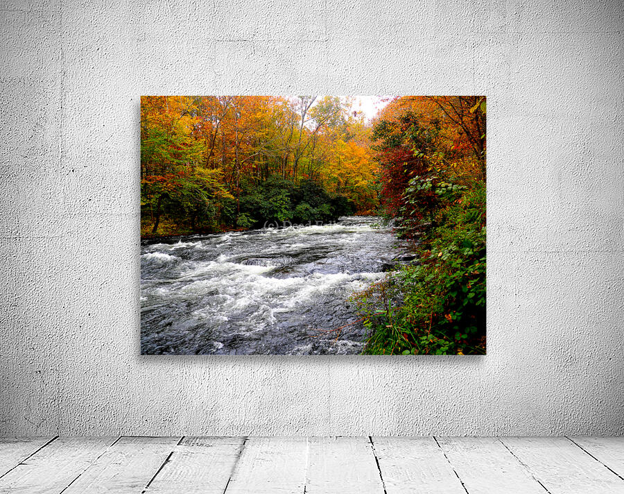 00140 Worth Waiting For Wall Preview