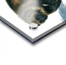 wolverine canvas Acrylic print