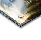 AAJ canvas Acrylic print