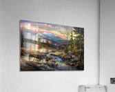 a wanderers dream_FINALcanvas Acrylic Print