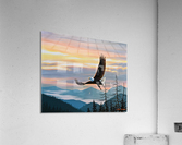 Conquered canvas Acrylic Print