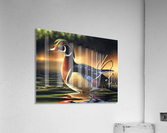 BWMcanvas Acrylic Print