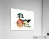 woody CANVAS1 Acrylic Print