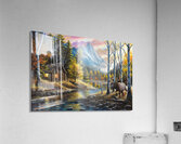 LTD CANVAS Acrylic Print