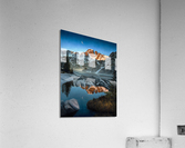 CANVAS pinecrk Acrylic Print