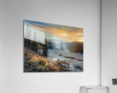 STILL CANVAS Acrylic Print