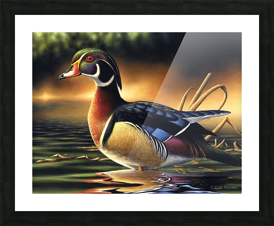 BWMcanvas Picture Frame print
