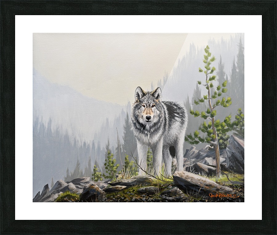 CANVAS_A WILD DOMAIN Picture Frame print