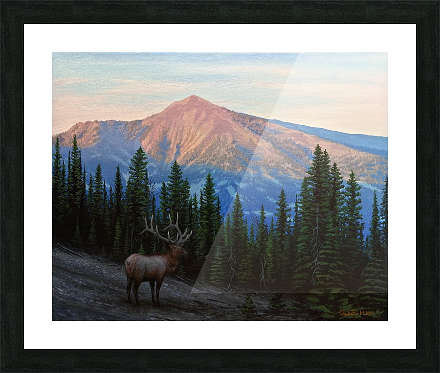 fnl hour canvas Picture Frame print