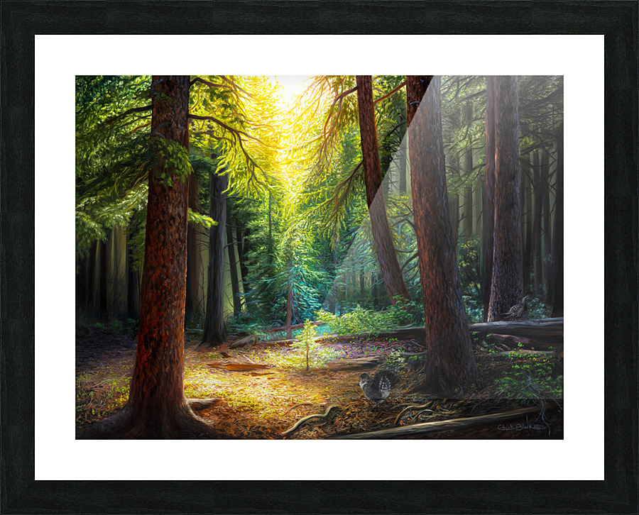 DW CANVAS Picture Frame print