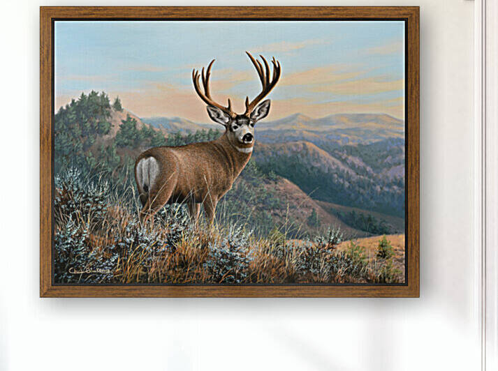 WM CANVAS by CRB