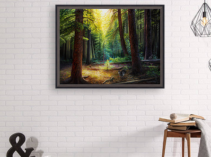 DW CANVAS by CRB