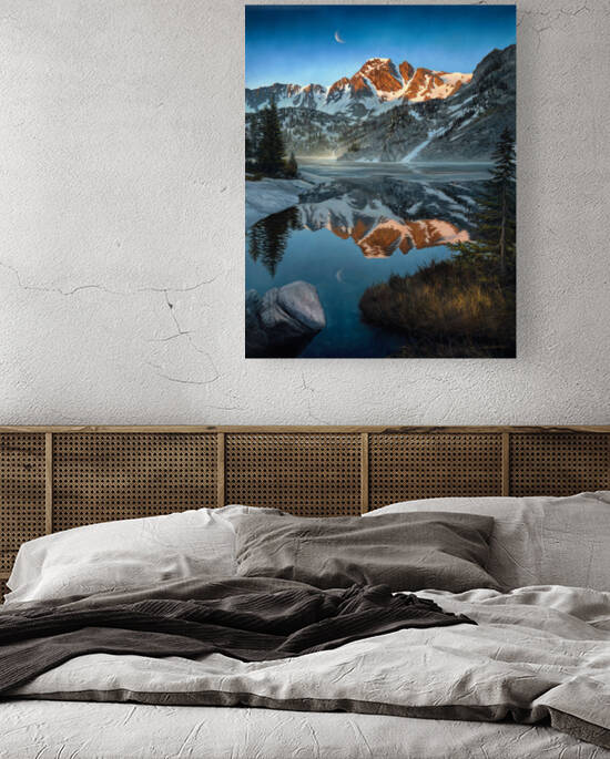 CANVAS pinecrk by CRB