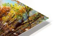 Oct Bliss CANVAS HD Metal print