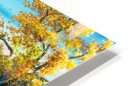 CHUBLA201308 HD Metal print